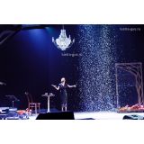 Люстра Елизавета в Сочи