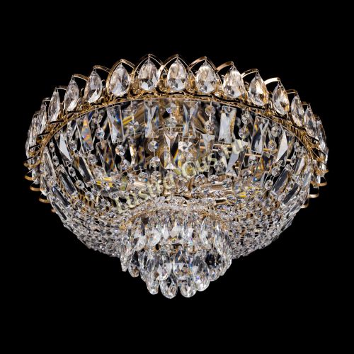 Люстра Астра Бутон в Сочи Гусь Хрустальный