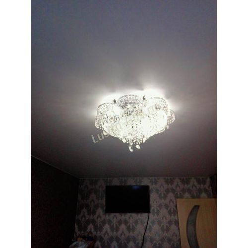 Люстра Камея №1 в Сочи Гусь Хрустальный